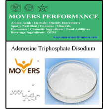 Nutrition Supplement - Adenosine Triphosphate Disodium (ATP)